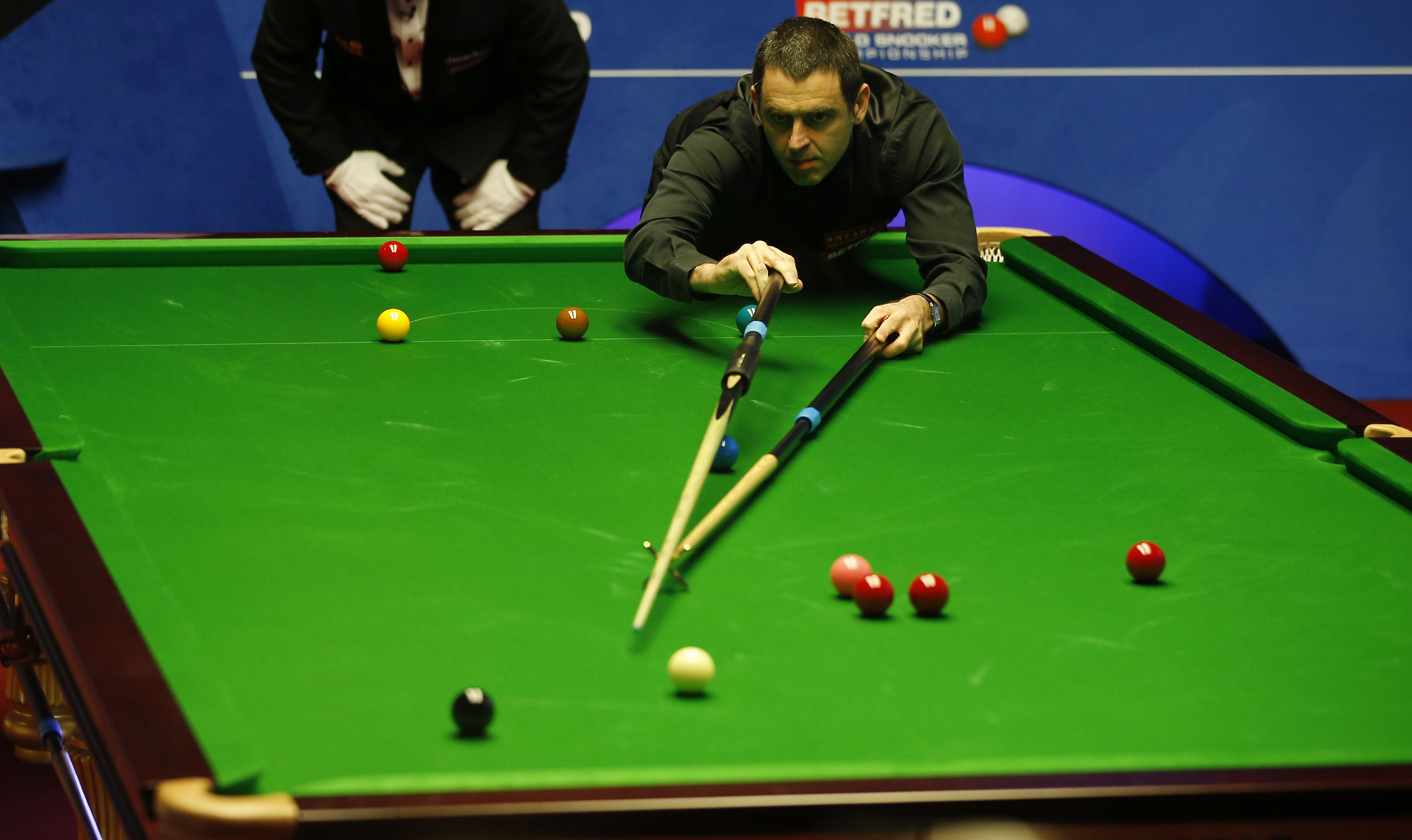 作为对比 作为对比